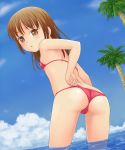 1girl adjusting_clothes adjusting_swimsuit ass bikini brown_eyes brown_hair butt_crack cloud feet_in_water from_behind long_hair looking_back original palm_tree sky soaking_feet solo suenaga_(progressive) swimsuit tree wading water