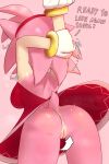 1girl amy_rose fanart tagme