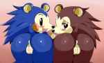  2_girls animal_crossing anus ass bent_over blue_hair blush brown_hair furry inviting mabel_able multiple_girls nude pussy sable_able ss2_(artist) sssonic2 tail uncensored 