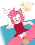  amy_rose fanart sonic_the_hedgehog tagme 