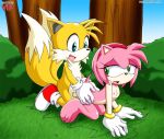 amy rose from palcomix