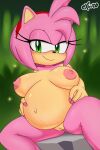  1girl 1girl amy_rose areola belly big_areola big_belly big_breasts breasts eulipotyphlan excito forest genitals hedgehog high_res jungle mammal navel outie_navel plant pregnant pregnant_female pussy sega sega smile sonic_the_hedgehog_(series) stretch_marks tree 