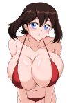  1girl 1girl 1girl alluring big_breasts big_breasts bikini bikini_bottom bikini_only bikini_top bikini_top_only blue_eyes breasts brown_hair captain_rs female_only female_solo game_freak may may_(pokemon) may_(pokemon_oras) nintendo pokemon pokemon_rse solo_female solo_only 