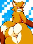 ass furry_female krymzonix tagme