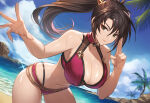1girl accurate_art_style beach big_breasts bikini biknin black_hair brown_eyes cleavage kunoichi morbid_angel666 ocean pin_up posing project_soul soul_calibur soul_calibur_ii soul_calibur_iii taki