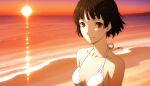 1girl accurate_art_style alluring atlus beach bikini makoto_niijima medium_breasts monica_ski ocean persona persona_5 sega silf sunset