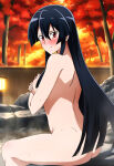 1girl accurate_art_style akame_(akame_ga_kill!) akame_ga_kill! alluring ass black_hair completely_nude_female nude onsen red_eyes steam wet wolf_(artist)