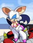 rouge the bat from sega by dboy
