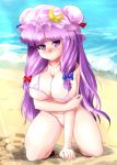 patchouli knowledge from touhou by excel (shena)