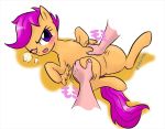  blush friendship_is_magic my_little_pony pony rub scootaloo simple_background white_background zokoira 