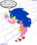 anthro anus ass blue_hair crossdressing english_text erection girly green_eyes habbodude hair hedgehog looking_back male penis presenting presenting_hindquarters sega skimpy sonic_(series) sonic_the_hedgehog testicles text thecon