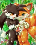 crossover klonoa miles_"tails"_prower multiple_tails sega sonic_(series) sonic_team tail