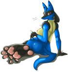 anthro biped black_fur blue_body blue_fur breasts canid canine chest_spike cream_fur creatures_(company) dog_ears dog_tail english_text female fighting_type_pokemon game_freak gen_4_pokemon highres hindpaw lucario nintendo pawpads paws plain_background pokemon pokemon_(anime) pokemon_(creature) pokemon_(game) pokemon_(species) pokemon_diamond_pearl_&_platinum pokemon_dppt pokemon_heartgold_and_soulsilver pokemon_hgss pokemorph porkyman red_eyes sharp_teeth snout solo spikes steel_type_pokemon text ticklishways toes video_games white_background zp92