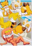 bbmbbf cream_the_rabbit marine_the_raccoon miles_"tails"_prower mobius_unleashed palcomix poolside_fun sega sonic_(series) sonic_the_hedgehog_(series) tagme tikal_the_echidna