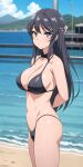  1girl alluring arms_behind_back beach big_breasts bikini black_hair blue_eyes female_only high_res legs long_hair looking_at_viewer navel ocean sakurajima_mai seishun_buta_yarou_wa_bunny_girl_senpai_no_yume_wo_minai thighs thong_bikini voluptuous water zengai 