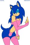 sonic the hedgehog from sega by biamon