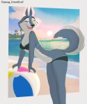 alluring anthro beach beach_ball bikini illumination_entertainment ocean porsha_crystal risang_drawstuff sing_(movie) wolf wolfess yellow_eyes