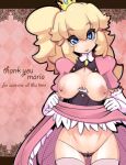 breasts female nintendo princess_peach sho-n-d stocking super_mario_bros.