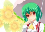 1girl female flower green_hair kazami_yuuka red_eyes short_hair solo sunflower touhou umbrella yakumo_nanahara