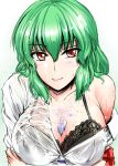 1girl between_breasts big_breasts black_bra blush bra breasts bust cleavage female green_hair hose kazami_yuuka large_breasts off_shoulder red_eyes see-through sexually_suggestive shirt short_hair slit_pupils smile solo touhou underwear upper_body wet wet_clothes wet_shirt y2