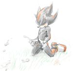 gree sega shadow_the_hedgehog sonic_(series) sonic_team