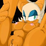 mel_the_hybrid rouge_the_bat sega sonic_(series) sonic_team