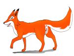 animals_of_farthing_wood fox tagme whisper