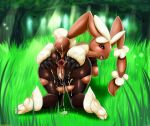  lopunny mega_evolution mega_lopunny pokemon pokemon_(game) pokemon_oras shadman 