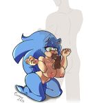 sonic the hedgehog from sega by cuisine