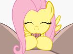  blinking cum fellatio fluttershy fluttershy_(mlp) friendship_is_magic gif my_little_pony oral pov tail_wagging tiarawhy 