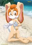 ass bbmbbf beach bikini blush breasts feet female hindpaw lagomorph mobius_unleashed nipples nude palcomix rabbit sega sonic_(series) sonic_the_hedgehog_(series) tail vanilla_the_rabbit