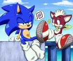  anthro blue_hair canine chihuahua chip_(sonic) dog fur gloves green_eyes hair hedgehog light_gaia male sega shoes shoppaaaa socks sonic_(series) sonic_the_hedgehog sonic_the_hedgehog_(series) sonic_unleashed wings 