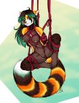 bound breasts cute female furry hanging looking_at_viewer nude pussy red_panda restrained rope solo thetiedtigress