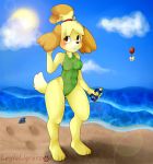 1girl 2013 animal_crossing animal_crossing_new_leaf anthro beach blush box brown_hair canid canine canine_humanoid cute dog doubutsu_no_mori female furry hair hair_tie highleg_swimsuit isabelle_(animal_crossing) jingle_bell leylaligress mammal nintendo one-piece_swimsuit ponytail seaside secretary shih_tzu shizue_(doubutsu_no_mori) solo sunscreen thick_ass thick_legs thick_thighs yellow_fur