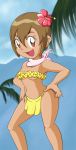  breasts brown_eyes brown_hair digimon hula kari_kamiya pepipopo solo yagami_hikari 