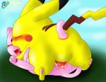 curby mew pikachu pokemon