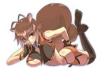 makoto nanaya from blazblue