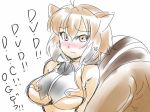 1girl animal_ears arc_system_works blazblue blazblue:_continuum_shift blush breasts brown_eyes brown_hair dvddvd jpeg_artifacts large_breasts makoto_nanaya sketch solo squirrel_ears squirrel_tail tail tsuki_wani underboob