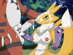  anthro balls breasts cum cum_on_body cum_on_breasts cum_on_face cum_on_hand cum_on_head digimon furry gif guilmon handjob male/female masturbation penis potatopileup renamon sex 