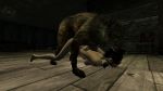  beastiality dog fallout fallout_new_vegas legion 