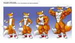 2013 abs anthro biceps bodybuilder canine flexing fox male male_only miles_"tails"_prower multiple_tails muscle muscle_growth muscles muscular_male no_humans pecs pokkuti sad sega shoes smile solo sonic_*(series) sonic_the_hedgehog_(series) vein