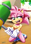 amy_rose archie_comics bbmbbf mobius_unleashed palcomix rosy_the_rascal sega sonic_the_hedgehog_(series)