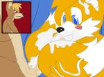  blue_eyes miles_&quot;tails&quot;_prower multiple_tails sega sonic sonic_(series) steve_farfan tail yaoi 