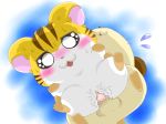  blush hamtaro noppo-kun tagme torahamu-chan whiskers 