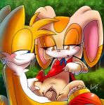  cream_the_rabbit cute furry miles_&quot;tails&quot;_prower nancher penis sega sex sonic_(series) sonic_the_hedgehog_(series) tail vaginal 