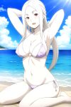  1girl alluring bare_legs beach big_breasts bikini blue_sky cookiefudge milf nakiri_leonora ocean on_knees red_eyes shokugeki_no_souma silver_hair 