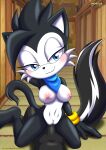 archie_comics bbmbbf geoffrey_st_john hershey_the_cat mobius_unleashed palcomix sega sonic_the_hedgehog_(series)