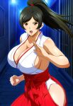  1girl accurate_art_style alluring big_breasts black_hair brown_eyes cleavage dead_or_alive dead_or_alive_6 dead_or_alive_xtreme dead_or_alive_xtreme_2 dead_or_alive_xtreme_3 dead_or_alive_xtreme_3_fortune dead_or_alive_xtreme_beach_volleyball dead_or_alive_xtreme_venus_vacation doasuki kunoichi momiji ninja_gaiden ponytail tecmo 