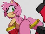 amy rose from sega by spassticus