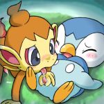 chimchar piplup pokemon tagme